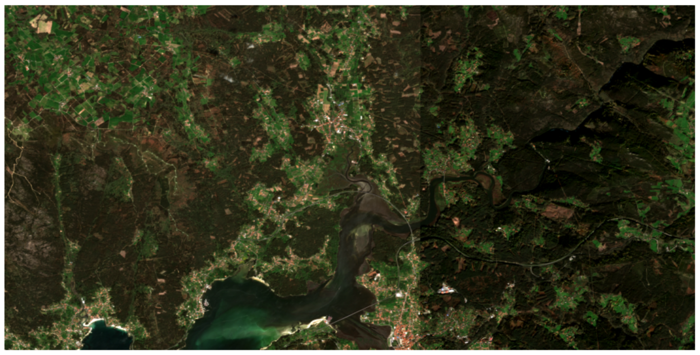 TerraMind Additional Analysis Screenshot